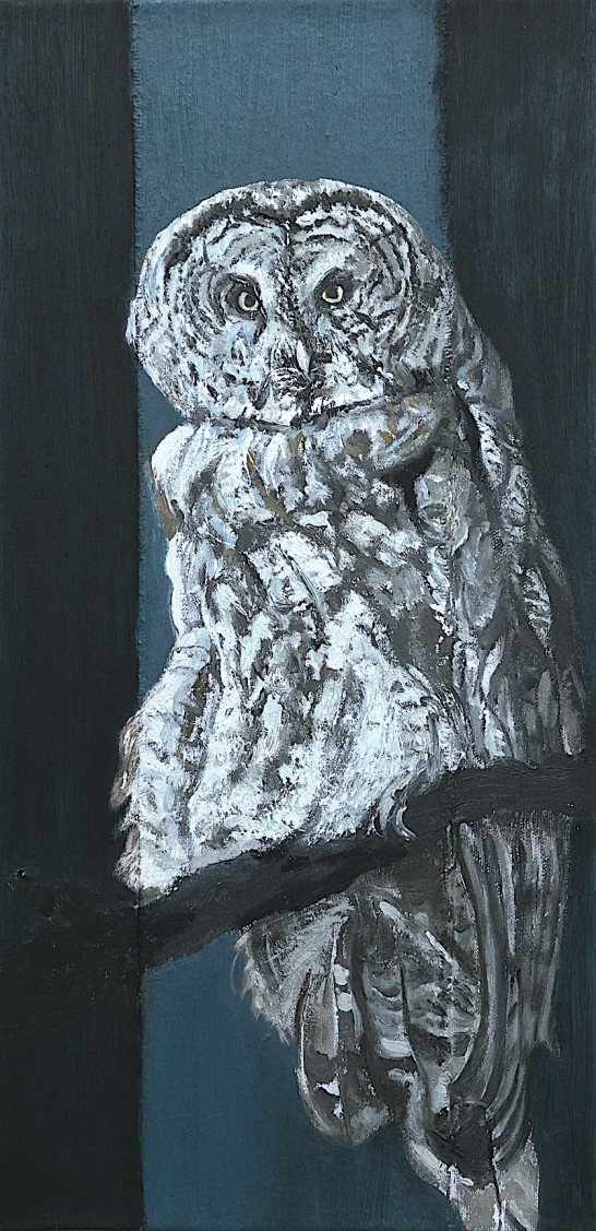 Prey XIX